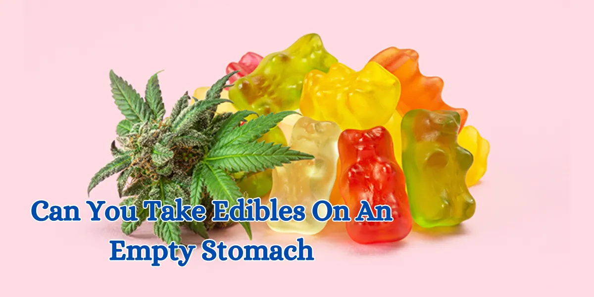 Can You Take Edibles On An Empty Stomach (1)